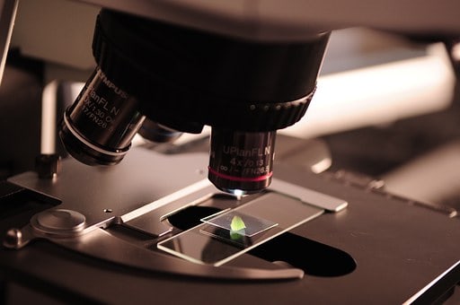 biotech stocks millionaire
