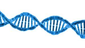 FDA Insider trade alert service
