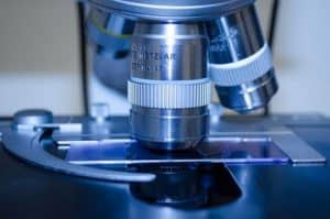 The best biotech stocks