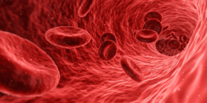 Best biotech stocks