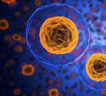 Finding The Best Biotech Stocks to Buy with Kyle Dennis