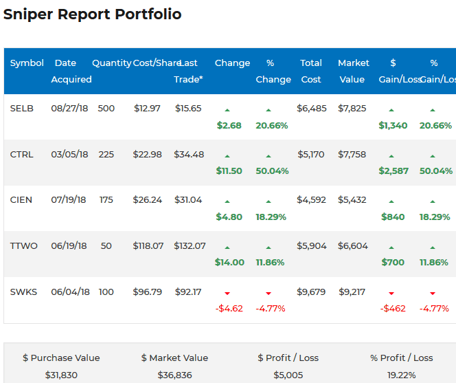 Sniper Report Portfolio