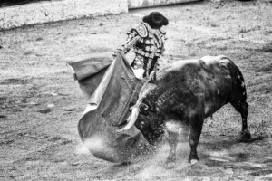 ragingbull.com stock trading review