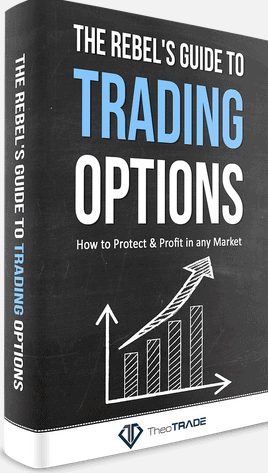 The Rebel's Guide To Trading Options by Don Kaufman